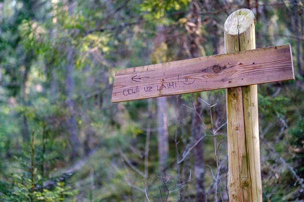 tourist direction signs in forest - Photo, Image