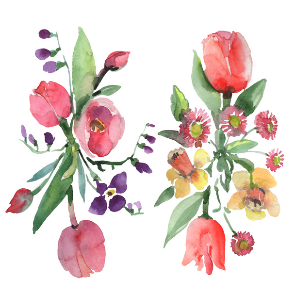 Květinové botanické květiny. Vodný obrázek pozadí-barevný. Izolované kytice, ilustrace prvku. - Fotografie, Obrázek