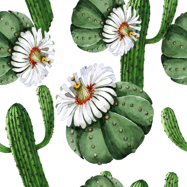 grünen Kaktus Blumen botanische Blume. Aquarell Hintergrundillustration Set. nahtloses Hintergrundmuster. - Foto, Bild
