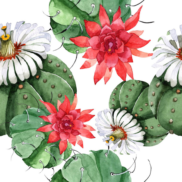 Green cactus floral botanical flower. Watercolor background illustration set. Seamless background pattern. - Фото, изображение