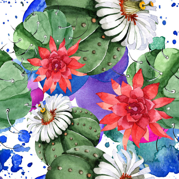 Green cactus floral botanical flower. Watercolor background illustration set. Seamless background pattern. - 写真・画像