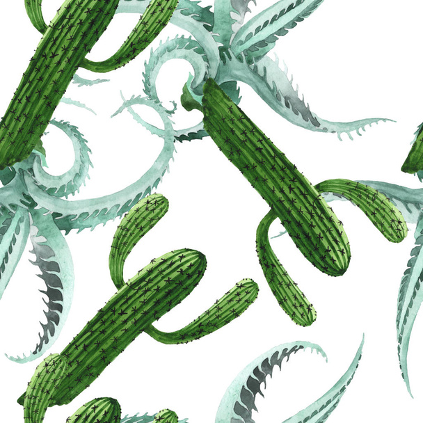 Green cactus floral botanical flower. Watercolor background illustration set. Seamless background pattern. - Фото, зображення