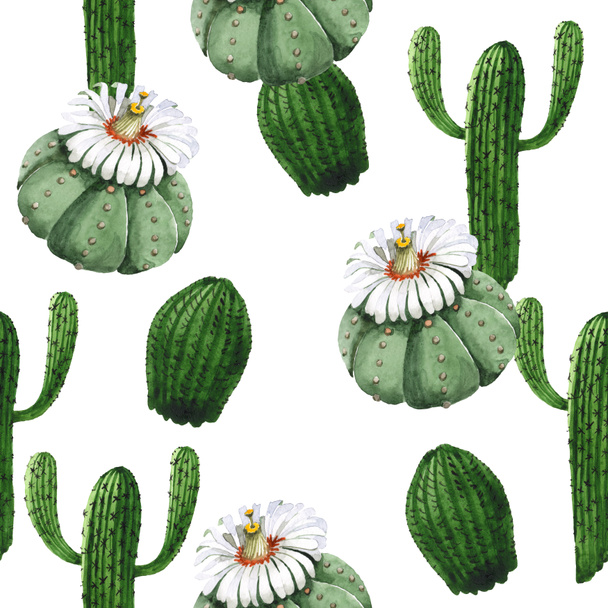 Green cactus floral botanical flower. Watercolor background illustration set. Seamless background pattern. - Φωτογραφία, εικόνα