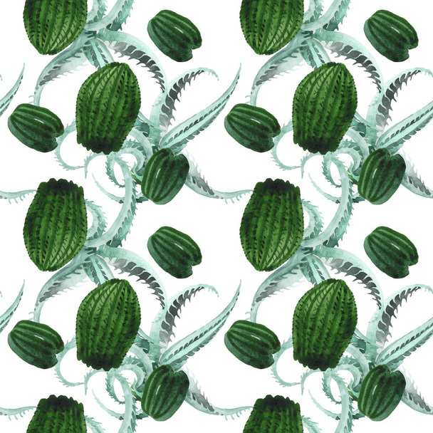 grünen Kaktus Blumen botanische Blume. Aquarell Hintergrundillustration Set. nahtloses Hintergrundmuster. - Foto, Bild