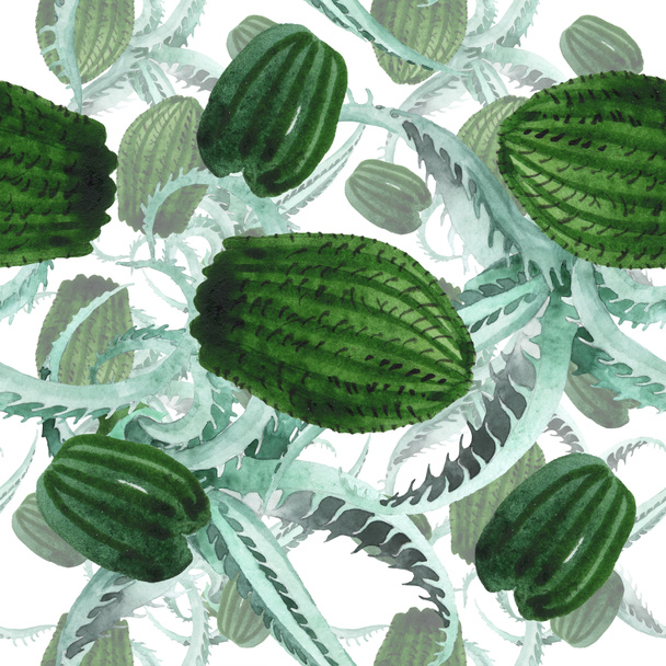 Zelený kaktus květinové botanické květy. Vodný obrázek pozadí-barevný. Bezespání vzorek pozadí. - Fotografie, Obrázek