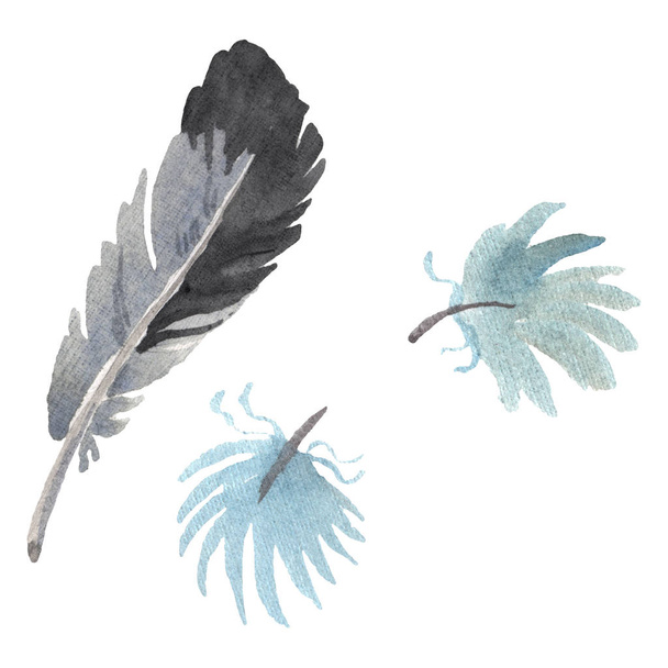 Plume d'oiseau aquarelle de l'aile isolée. Plume Aquarelle pour fond. Élément isolé d'illustration de plumes
. - Photo, image
