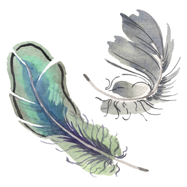 Watercolor bird feather from wing isolated. Aquarelle feather for background. Isolated feather illustration element. - Foto, imagen
