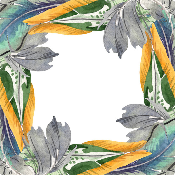 Watercolor bird feather from wing isolated. Aquarelle feather for background. Frame border ornament square. - Φωτογραφία, εικόνα