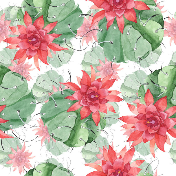Green cactus floral botanical flower. Watercolor background illustration set. Seamless background pattern. - Foto, imagen