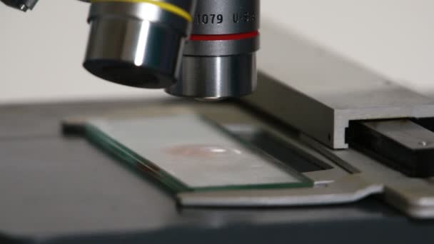 Detail mikroskopu se skluzavka a bioanalytikem - Záběry, video
