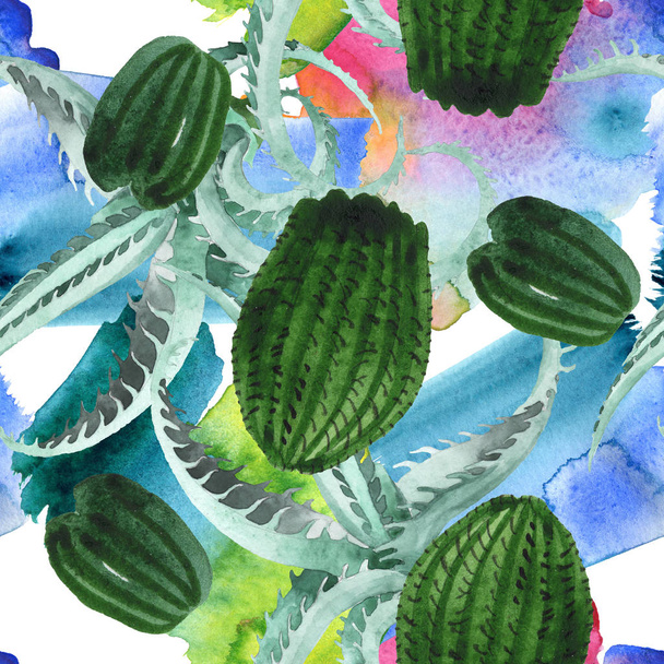 Green cactus floral botanical flower. Watercolor background illustration set. Seamless background pattern. - Fotoğraf, Görsel