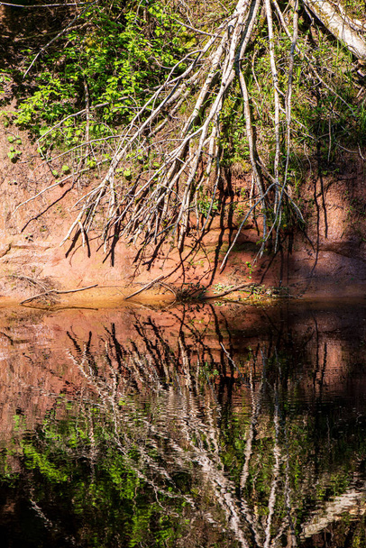 Waldfluss mit felsigem Golf und Wasserfällen - Foto, Bild
