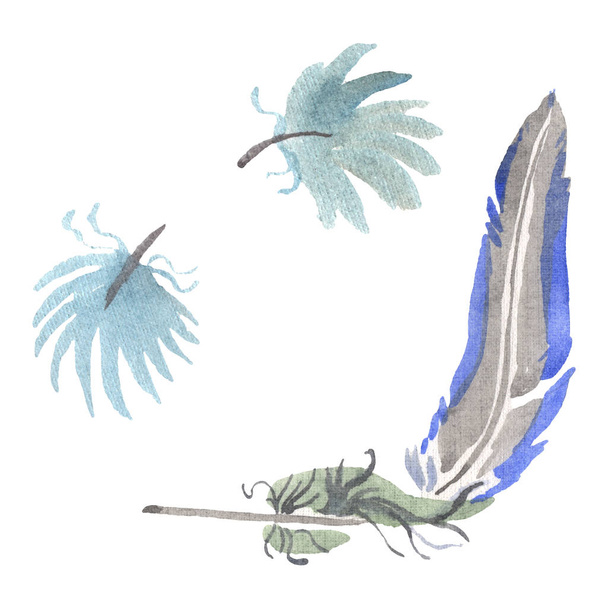 Acuarela pluma de pájaro de ala aislada. Pluma de Aquarelle para el fondo. Elemento de ilustración de plumas aisladas
. - Foto, Imagen