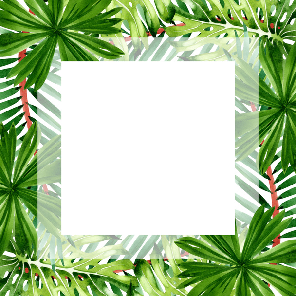 Palm beach tree leaves jungle botanical. Watercolor background illustration set. Frame border ornament square. - Photo, Image