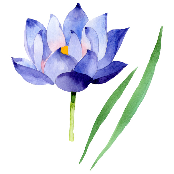 Botanische Blüten aus blauem Lotus. Aquarell Hintergrundillustration Set. isoliertes Nelumbo-Illustrationselement. - Foto, Bild