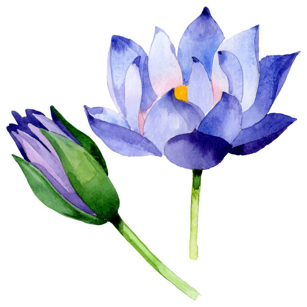 Botanische Blüten aus blauem Lotus. Aquarell Hintergrundillustration Set. isoliertes Nelumbo-Illustrationselement. - Foto, Bild