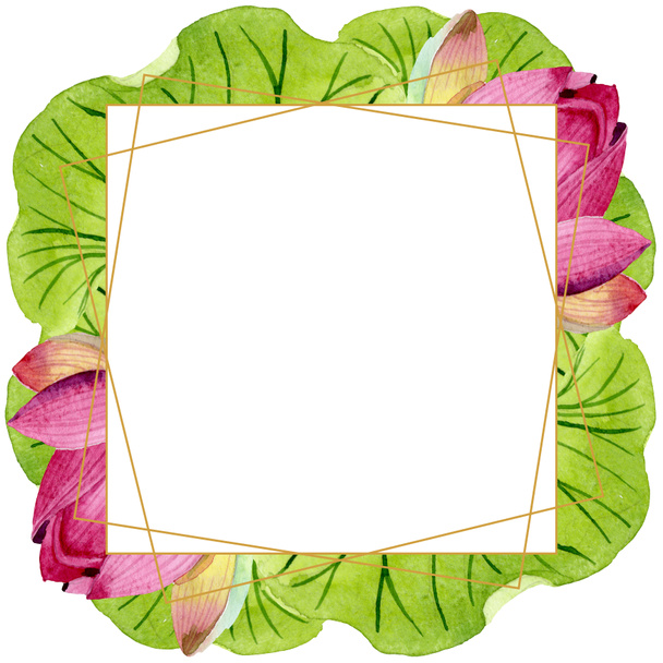 Flores botânicas florais de lótus rosa. Conjunto de ilustração de fundo aquarela. Quadro borda ornamento quadrado
. - Foto, Imagem