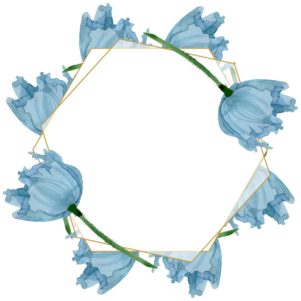 Flores botánicas florales de amapola azul. Conjunto de ilustración de fondo acuarela. Marco borde ornamento cuadrado
. - Foto, imagen