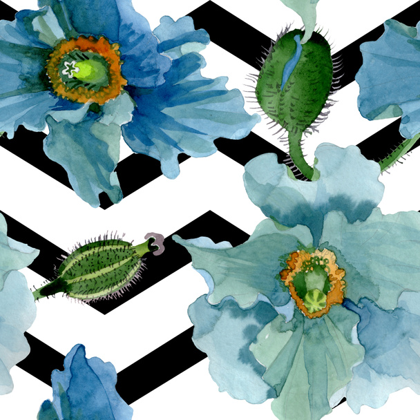 Flor de papoula azul flores botânicas. Conjunto de ilustração de fundo aquarela. Padrão de fundo sem costura
. - Foto, Imagem
