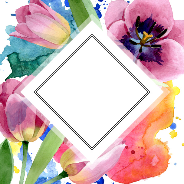 Roze tulpen bloemen botanische bloemen. Aquarel achtergrond illustratie instellen. Frame rand ornament vierkant. - Foto, afbeelding