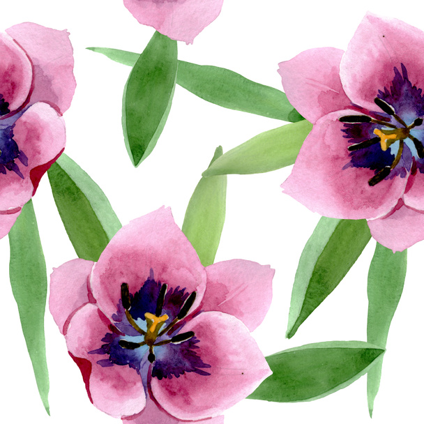 Ροζ τουλίπες floral βοτανικά λουλούδια. Σύνολο εικονογράφησης φόντου. Ομαλή μοτίβο φόντου. - Φωτογραφία, εικόνα