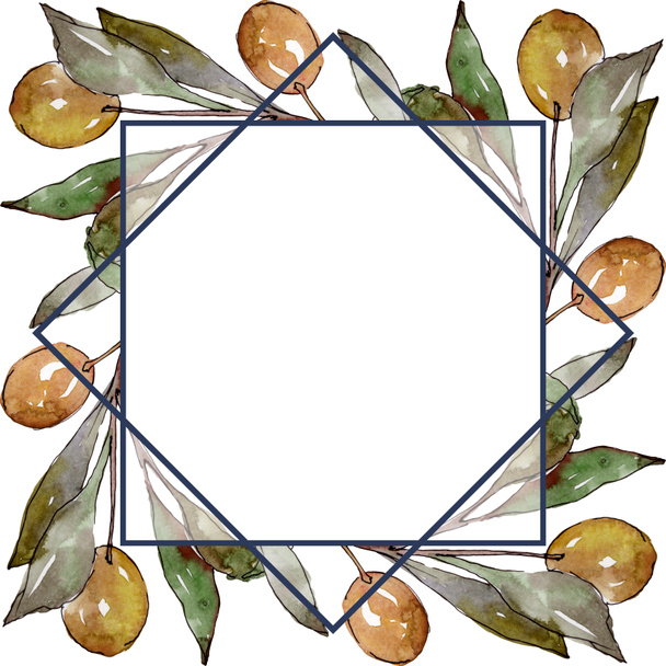 Olive branch with black and green fruit. Watercolor background illustration set. Frame border ornament square. - Foto, imagen