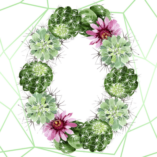 Green cactus floral botanical flowers. Watercolor background illustration set. Frame border ornament square. - Fotó, kép