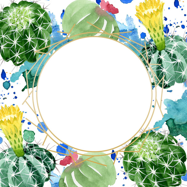 Green cactus floral botanical flowers. Watercolor background illustration set. Frame border ornament square. - Foto, Bild