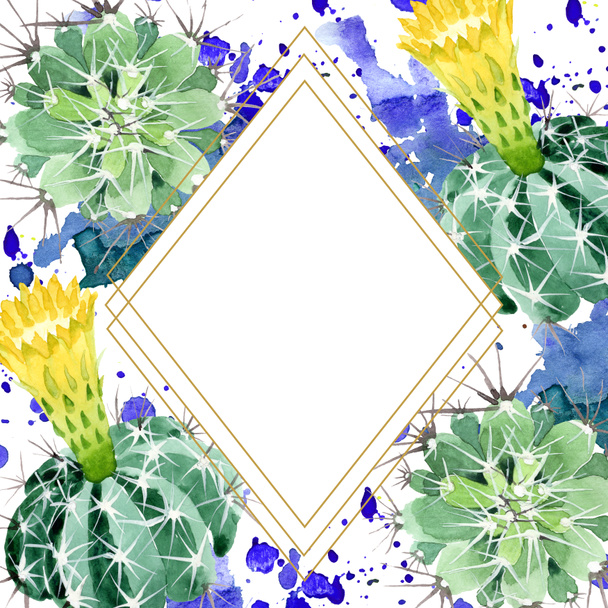 Green cactus floral botanical flowers. Watercolor background illustration set. Frame border ornament square. - Fotoğraf, Görsel