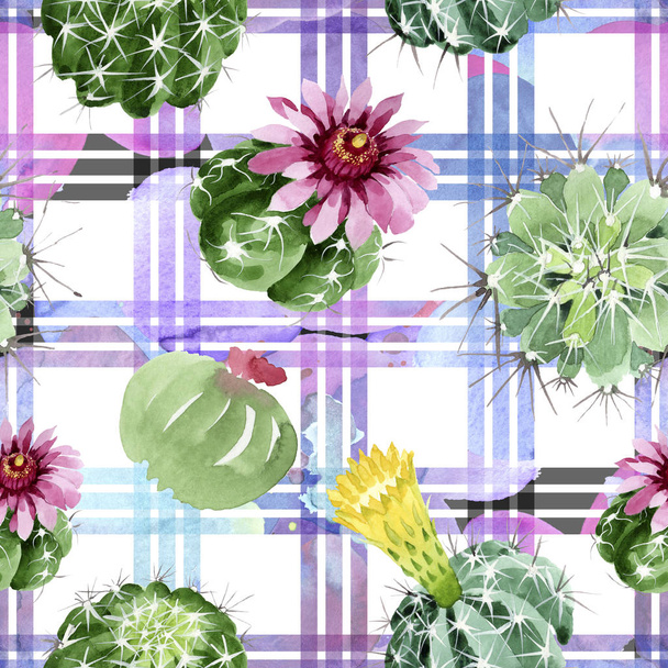 Green cactus floral botanical flowers. Watercolor background illustration set. Seamless background pattern. - Foto, Bild