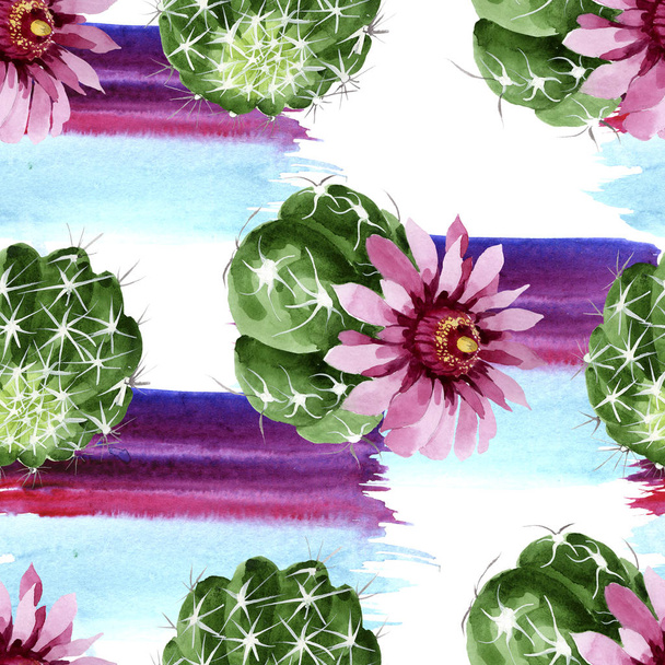 Flores botánicas florales de cactus verde. Conjunto de ilustración de fondo acuarela. Patrón de fondo sin costuras
. - Foto, Imagen