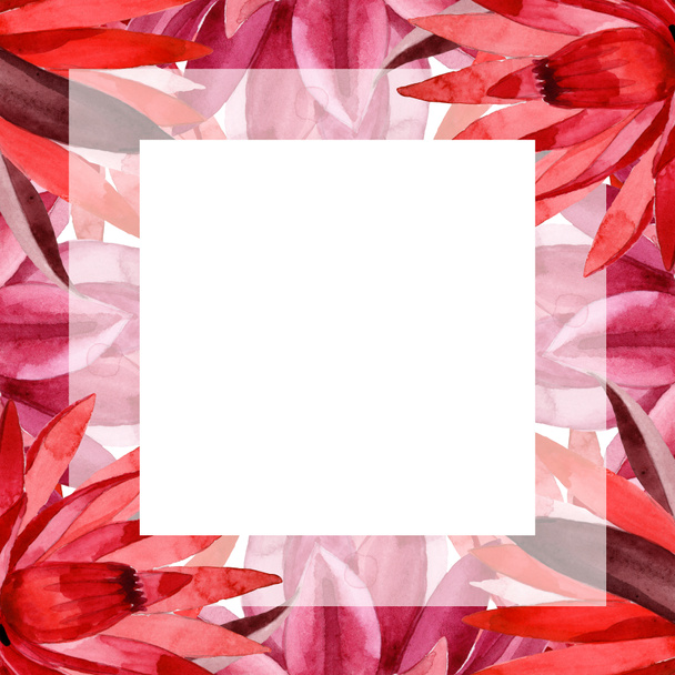 Kırmızı lotus çiçek botanik çiçek. Suluboya arka plan illüstrasyon seti. Çerçeve kenarlık süs karesi. - Fotoğraf, Görsel