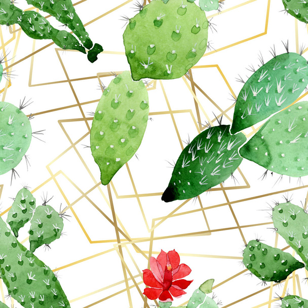 Vihreä kaktus kukka kasvitieteellinen kukkia. Vesiväri tausta kuvitussarja. Saumaton taustakuvio
. - Valokuva, kuva