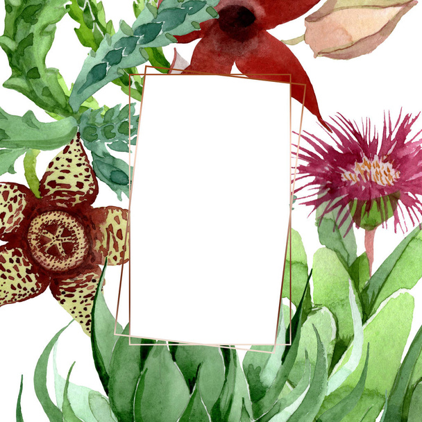 Flor botánica floral de cactus verde. Conjunto de ilustración de fondo acuarela. Marco borde ornamento cuadrado
. - Foto, imagen