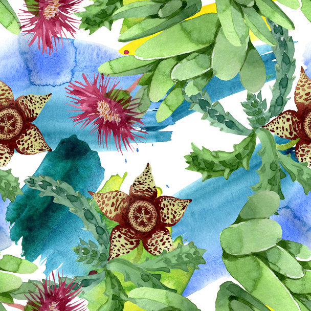 Green cactus floral botanical flower. Watercolor background illustration set. Seamless background pattern. - Foto, afbeelding
