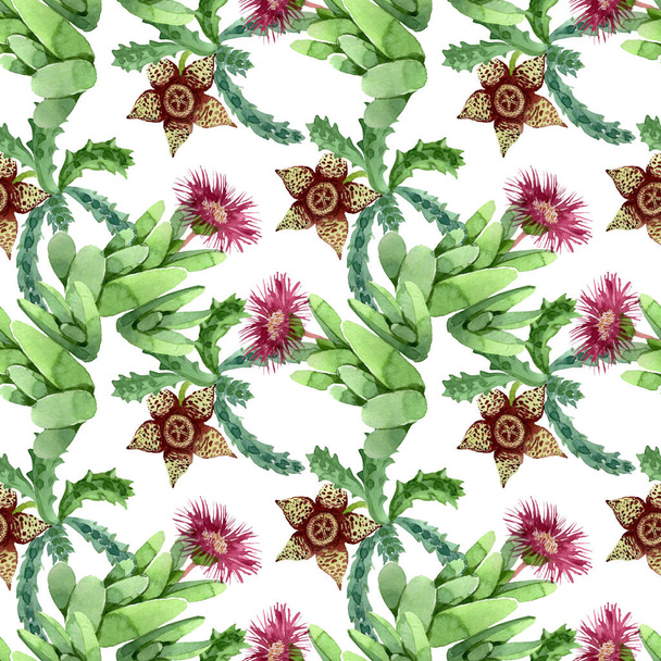 Flor botánica floral de cactus verde. Conjunto de ilustración de fondo acuarela. Patrón de fondo sin costuras
. - Foto, imagen