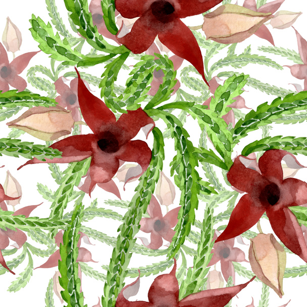 Zelený kaktus květinové botanické květy. Vodný obrázek pozadí-barevný. Bezespání vzorek pozadí. - Fotografie, Obrázek