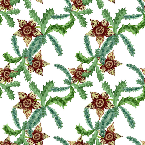 Green cactus floral botanical flower. Watercolor background illustration set. Seamless background pattern. - Foto, afbeelding
