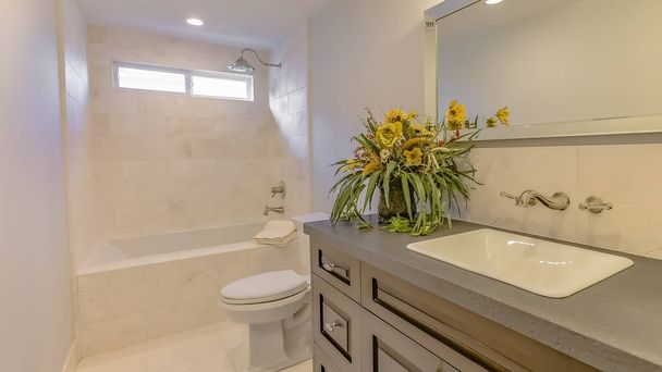 Panorama Bathroom interior with view of built in bathtub toilet and vanity unit - Photo, Image