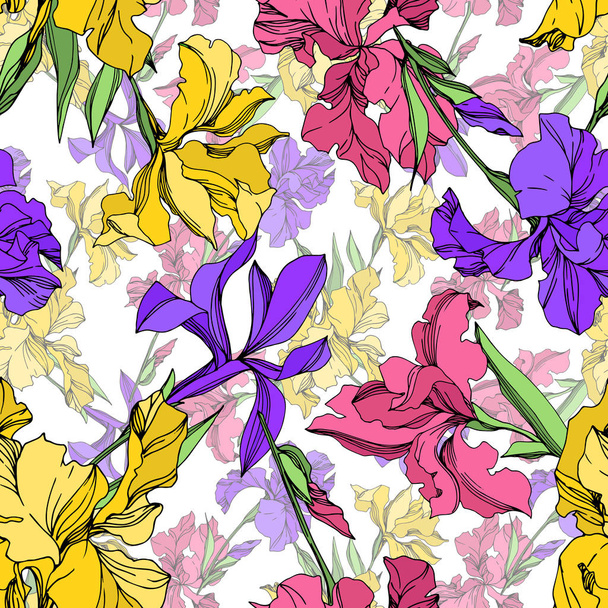 Iris floral botanical flowers. Black and white engraved ink art. Seamless background pattern. - Vektor, Bild