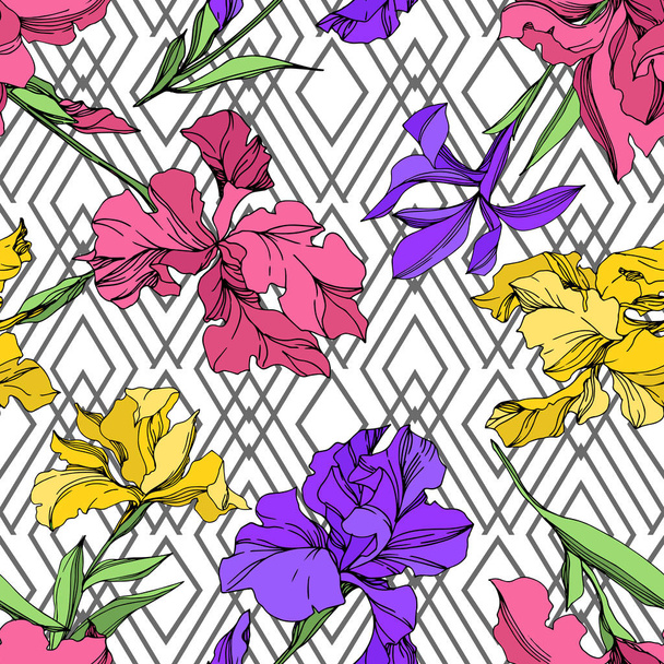 Iris kwiatowe kwiaty botaniczne. Czarno-biała grawerowana sztuka atramentu. Płynny wzór tła. - Wektor, obraz
