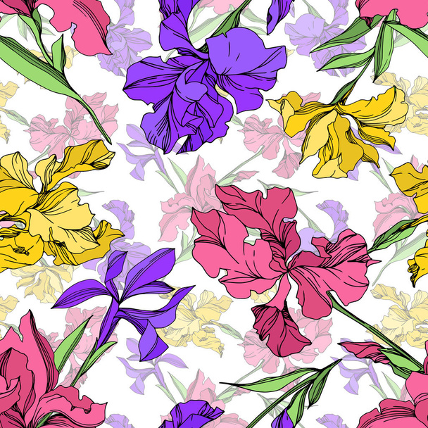 Iris floral botanical flowers. Black and white engraved ink art. Seamless background pattern. - Wektor, obraz