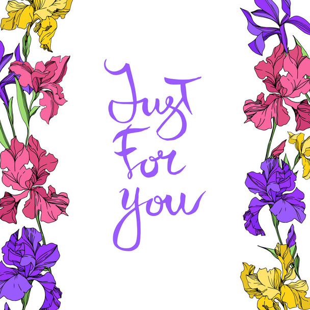 Iris floral botanical flowers. Watercolor background illustration set. Frame border ornament square. - Vector, Imagen