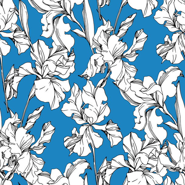 Iris flores botánicas florales. Tinta grabada en blanco y negro. Patrón de fondo sin costuras
. - Vector, Imagen
