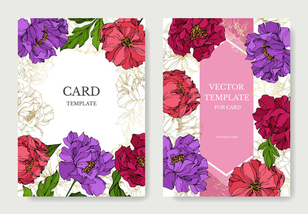 Peony floral botanical flowers. Engraved ink art. Wedding background card floral decorative border. - Vector, Image