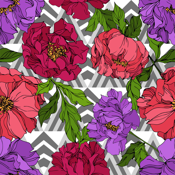 Peony floral botanical flowers. Wild spring leaf wildflower isolated. Engraved ink art. Seamless background pattern. - Vector, imagen
