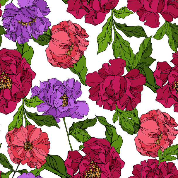 Peony floral botanical flowers. Wild spring leaf wildflower isolated. Engraved ink art. Seamless background pattern. - Vector, Imagen