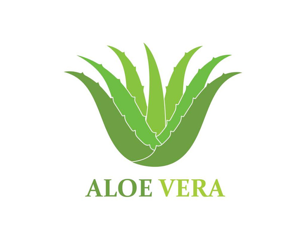 aloevera logo icon vector illustration design - Vector, Image
