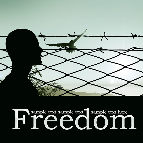 Freedom - Photo, Image