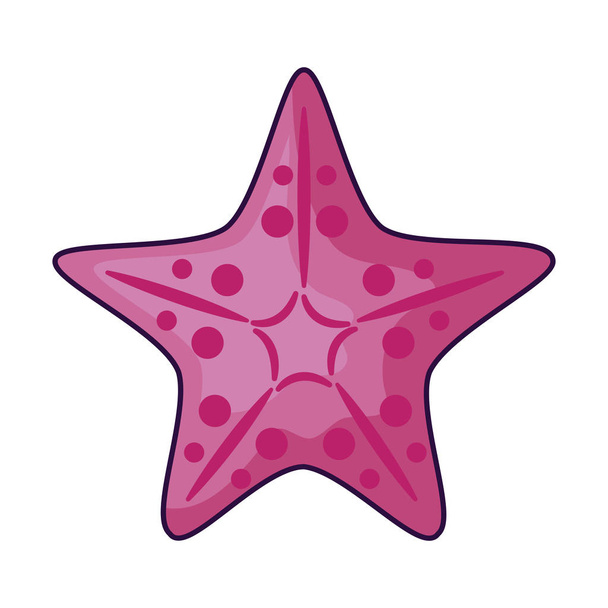 roztomilý hvězdný zvíře izolovaný ikonka - Vektor, obrázek